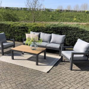 Lounge Stoelen Set